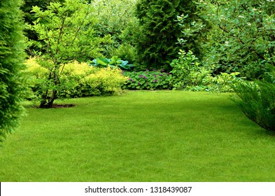 The Lawn On A Sunny Summer Day In A Beautiful Garden.