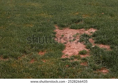 A lawn with patchy grass and visible bare, dry spots, illustrating an uneven growth pattern and signs of poor lawn health.