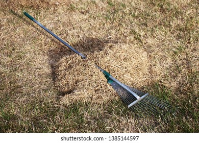 Dethatching Lawn Lawn Rake Spring Garden Stock Photo (Edit Now) 1385140397