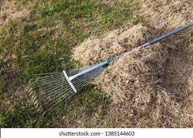 23,114 Lawn Rake Images, Stock Photos & Vectors | Shutterstock