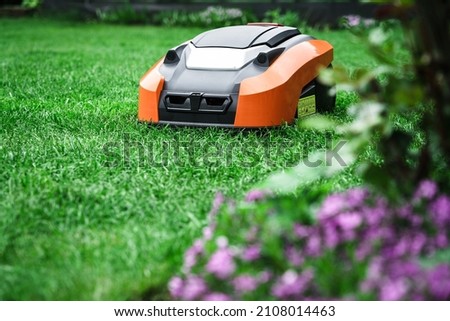 Lawn robot mows the lawn. Robotic Lawn Mower cutting grass in th Stockfoto © 