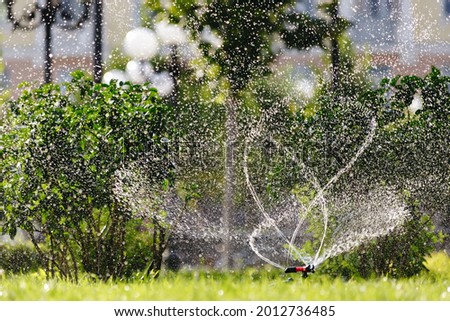 Lawn Sprinkler in Action. Garden sprinkler on a sunny summer day during watering the green lawn in garden