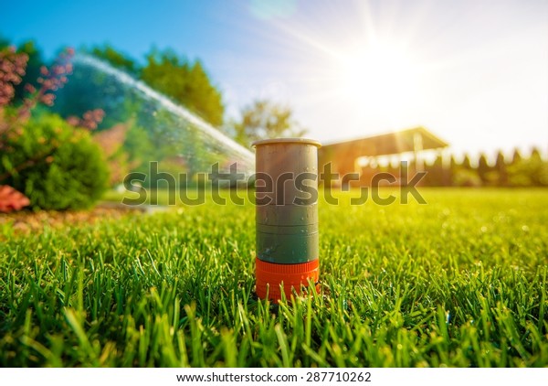 Lawn Sprinkler in Action. Garden Sprinkler\
Watering Grass. Automatic\
Sprinklers.