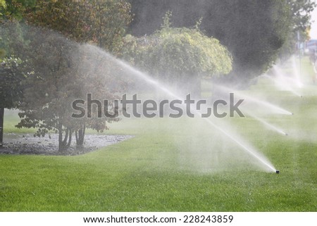 Lawn Sprinkler Spraying Water Over Green Grass in Garden