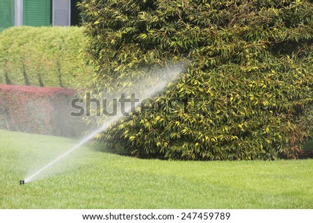 Lawn Sprinkler Spraying Water Over Green Grass in Garden