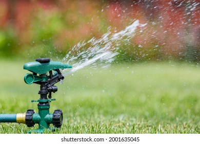 Lawn sprinkler watering grass in yard. Water usage, restrictions and lawncare concept