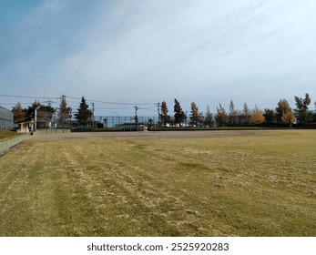 lawn, stadium, baseball field, park, children, family, vacation, baseball, sports, spend time, fun, excitement, sunny day, clear sky day, family day, happiness, warm, Japan, Japanese people, Toyama - Powered by Shutterstock