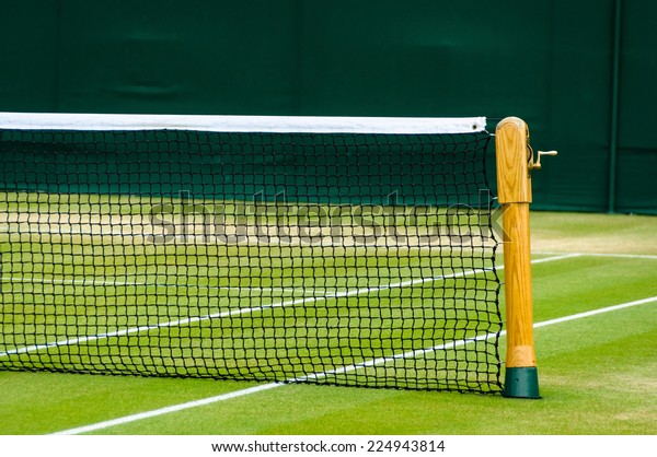 Lawn tennis court and\
net