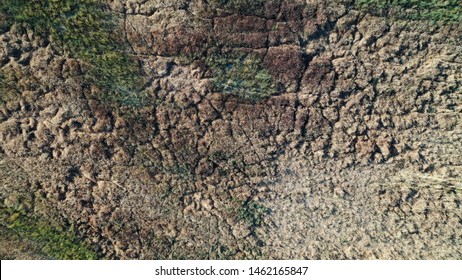 Lawn Texture Of Dead Dry Grass From Top View, Wallpaper Background. Earth Texture