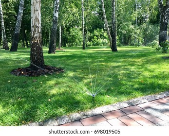 Lawn with trees