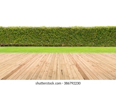 Lawn and wooden floor with hedge isolated. - Powered by Shutterstock