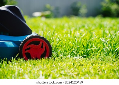 Lawnmower Electric Machine Trimming Green Grass. Lawn Cutting