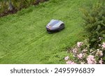 The lawnmower robot mows the grass in the garden.