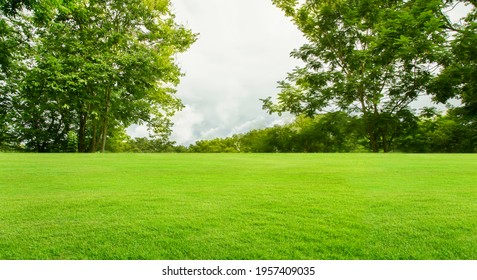 Lawns and gardens for bright backdrops. - Shutterstock ID 1957409035