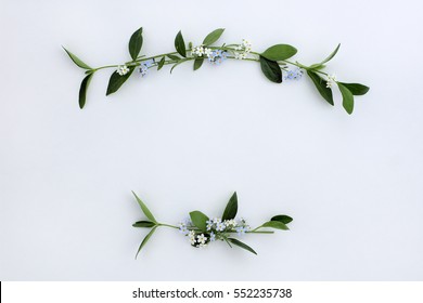 lay flat little white and blue flowers with green leaves on a light surface / background for wishes and congratulations