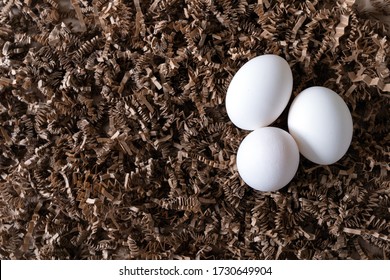 Lay flat view of three white chicken eggs