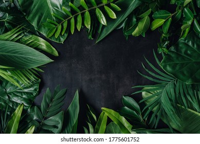 Lay out the creative frame of a tropical flat nature. Place Monstera coconut adn fern on the wood White color, a plastered wall, a rustic grunge with a retro holiday, tropical jungle and travel conce