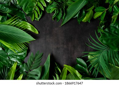 Lay out the creative frame of a tropical flat nature. Place Monstera coconut adn fern on the wood White color, a plastered wall, a rustic grunge with a retro holiday, tropical jungle and travel conce