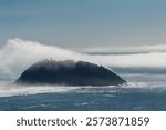 A layer of fog is rolling out over Point Sur, California.