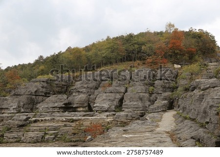 Layered, gray blocky stone structures form a rugged landscape. A stone pathway navigates the rock formations, leading toward a hilltop covered in autumn trees under an overcast sky.