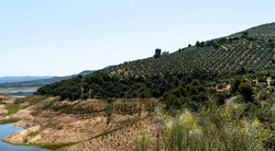 A Layered Landscape With A Foreground Of Wild Grasses, A Reservoir's Edge, Olive Tree-covered Hills, And A Solitary Building Under A Vast Sky