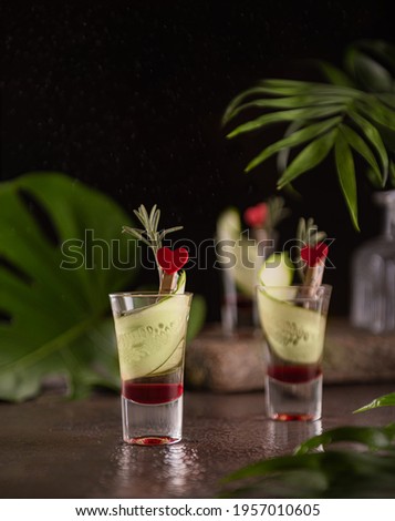 Layered shots with red grenadine and vodka decorated with slices of cucumber, fresh rosemary and red hearts. Still life with alcohol cocktails and tropical leaves. Rain effect. Selective focus.