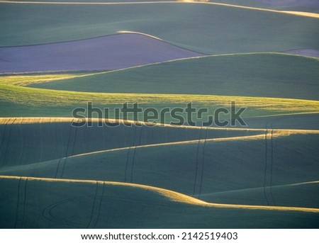 Similar – beautiful hills at sunset