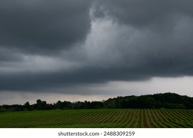 Layers of dark storm clouds hover over the rows of crops sown in the farmland below