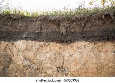 The Layers Of The Earth In A Clay Pit.