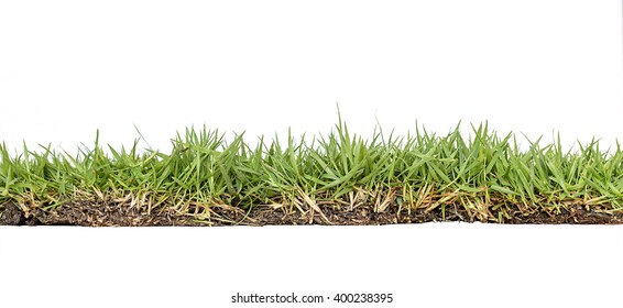 244,946 Grass Floor Images, Stock Photos & Vectors | Shutterstock