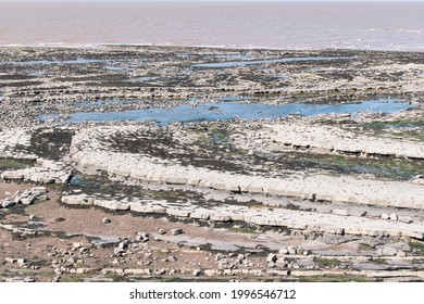 Layers Of Sedimentary Rocks Make Interesting Patterns On The Beach  Near Kilve, Somerset, England. Beautiful Old Rocks. Ocean Floor. Rock Pools.