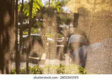 Layers of sheer curtains drape the windows, revealing glimpses of the green park scenery and pedestrians outside. Dappled sunlight filters through, creating a soft, impressionistic atmosphere and showcasing the details of a poetic dining environment.