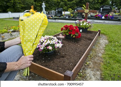 Laying Flowers on Grave