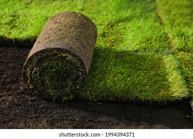 Laying grass sods at backyard. Home landscaping - Shutterstock ID 1994394371