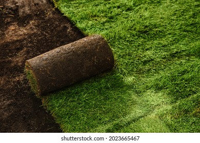Laying grass sods at backyard. Home landscaping
