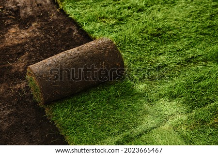 Laying grass sods at backyard. Home landscaping