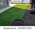 laying grass turf in the family garden. a roll of sod is driven onto the plowed surface of the soil. development and paving is important against erosion and drying out