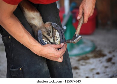 laying a horseshoe - Powered by Shutterstock