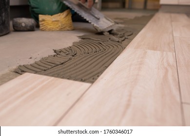 Laying Terracotta In The Bathroom. Builder During Work. Adhesive For Ceramic Tiles.