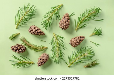 383,703 Conifers Images, Stock Photos & Vectors | Shutterstock