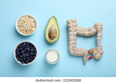 Layout Of Intestine Model And Products To Help Digestion On Turquoise Background, Top View