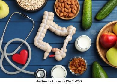 Layout Of Intestine Model And Products To Help Digestion On Blue Wooden Table, Top View