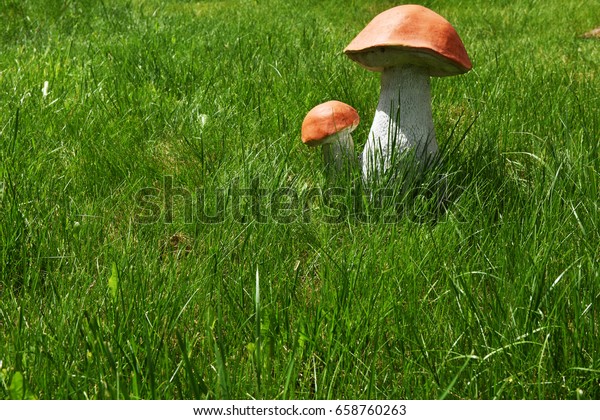 mushroom garden toy