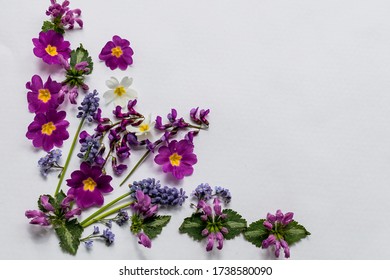 The layout of spring flowers on white background witch copy space - Shutterstock ID 1738580090