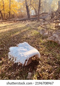 Lazy Afternoon Picnic In The Woods