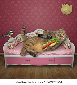 The Lazy Cat With A Tv Remote Control And Hot Dog Is Resting On A Pink Couch At Home. A Bird Is Next To Him. White Background. Isolated.