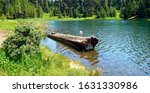 Lazy Lake Log - Springtime scene at the east end of Walton Lake - Ochoco Mountains - northeast of Prineville, OR