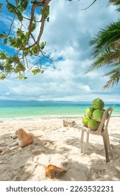 Lazy tropical beach in the Philppines islands,with white,fine sand,clear blue sea,a dog resting in shade,some fresh coconuts for drinking,palm trees,clean,un-polluted,serene,idyllic and relaxing.