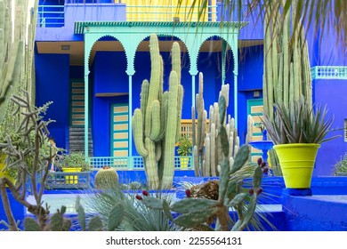 Le Jardin Majorelle, Marrakech, Morocco, Amazing tropical garden in Marrakech, Morocco