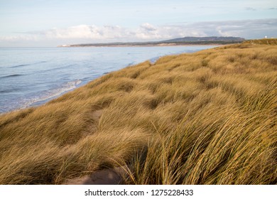 Imágenes Fotos De Stock Y Vectores Sobre Plage Shutterstock